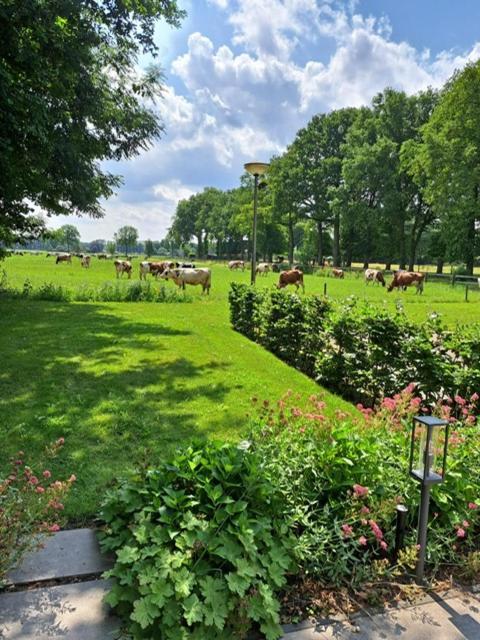Bed and Breakfast Het Broekeroord Wezep Esterno foto